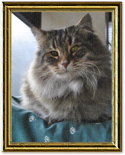 Cliquez pour agrandir l'image Cliquez pour agrandir l'image