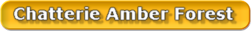 Ambert Forest Ambert Forest